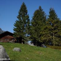 Blausee im Berner Oberland 037.jpg